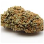 Шишки AK47 (Гидропоника, Бошка) VHQ в Назарово Шишки AK47 (Гидропоника, Бошка) VHQ в Назарово