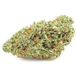 Шишки OG Kush (Гидропоника, бошки) VHQ в Назарово Шишки OG Kush (Гидропоника, бошки) VHQ в Назарово
